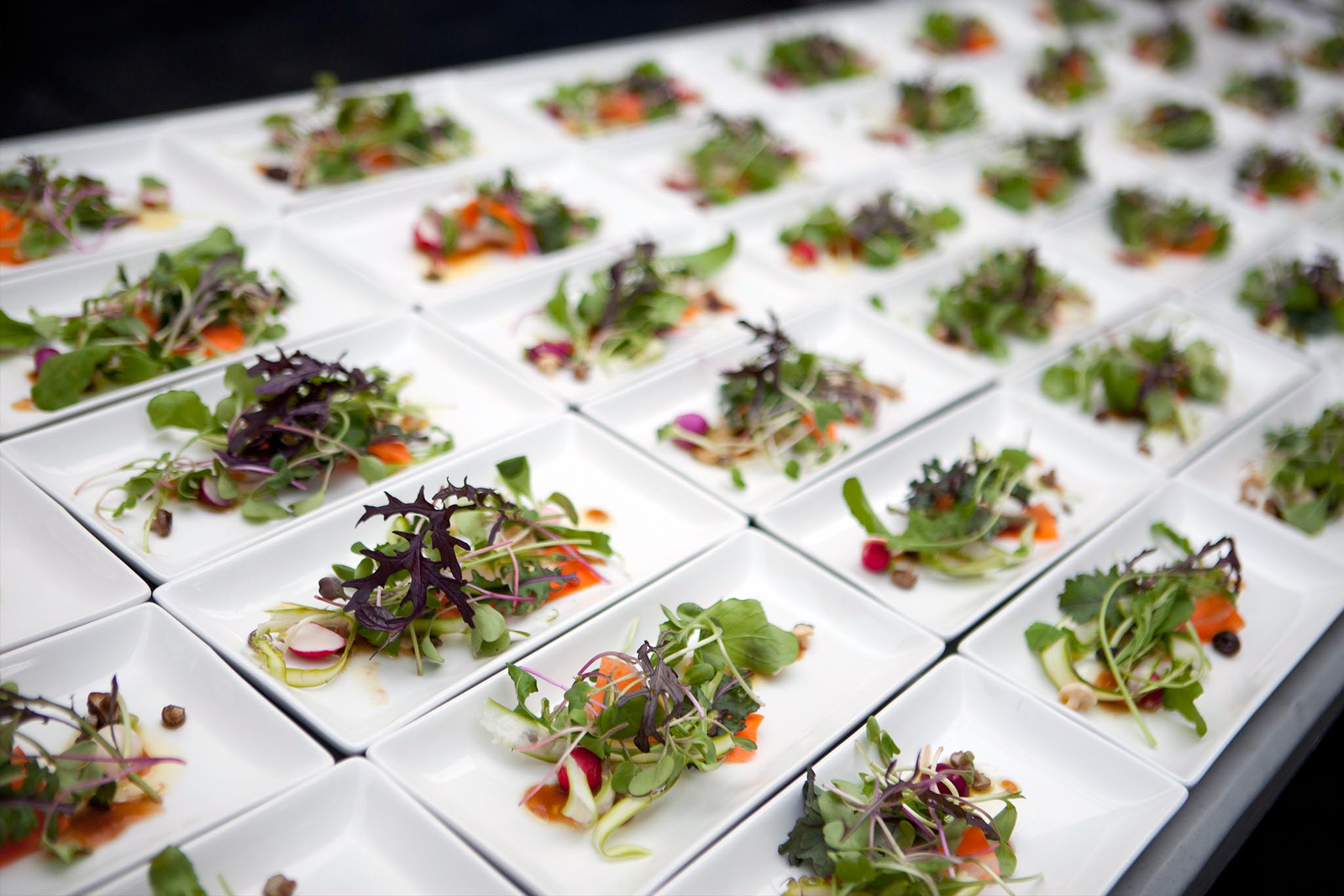 Sustainability page background image